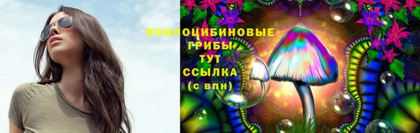 бошки Няндома