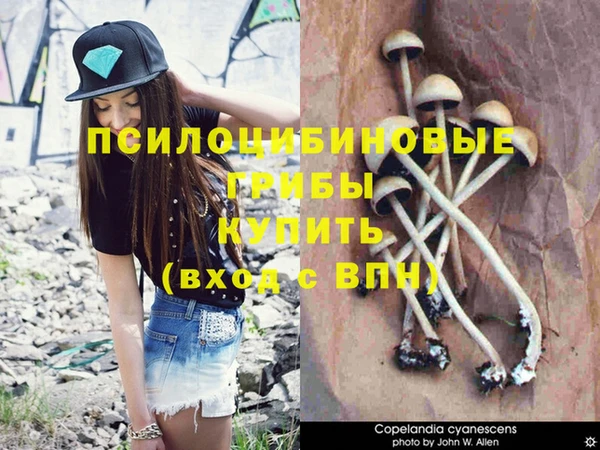 бошки Няндома